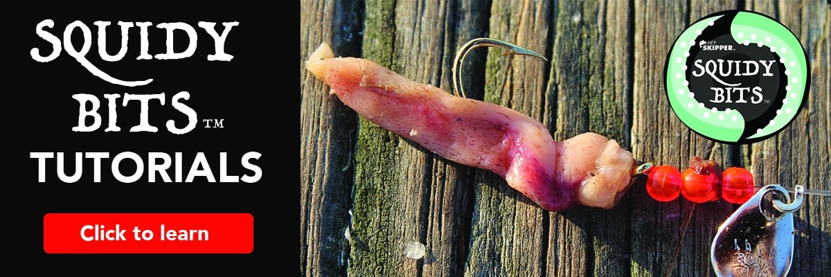Hey Skipper Squidy Bits Tutorial Banner