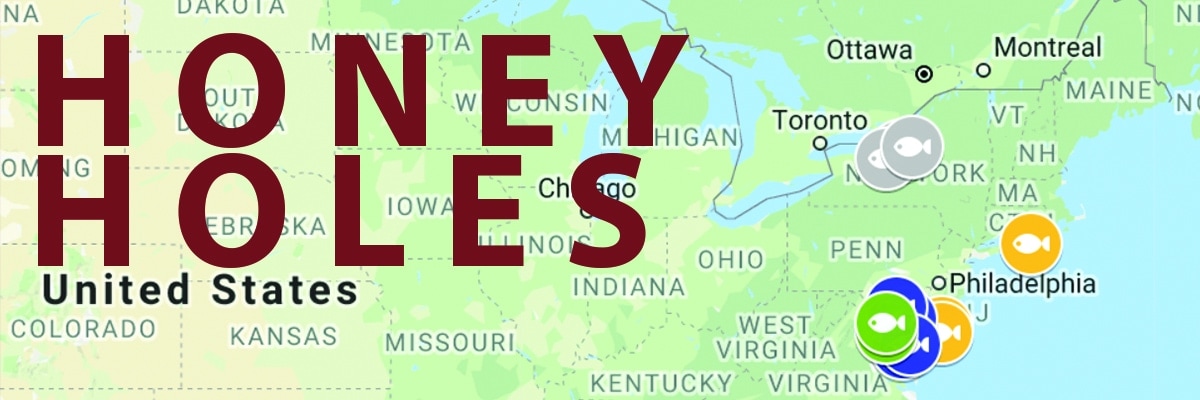 Hey Skipper Fishing Point Map