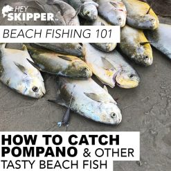 Surf Fishing 201- How to catch your own dinner fish! (Fishing Rigs and Beach  Fishing Tactics) Beach Fishing 101- Hey Skipper