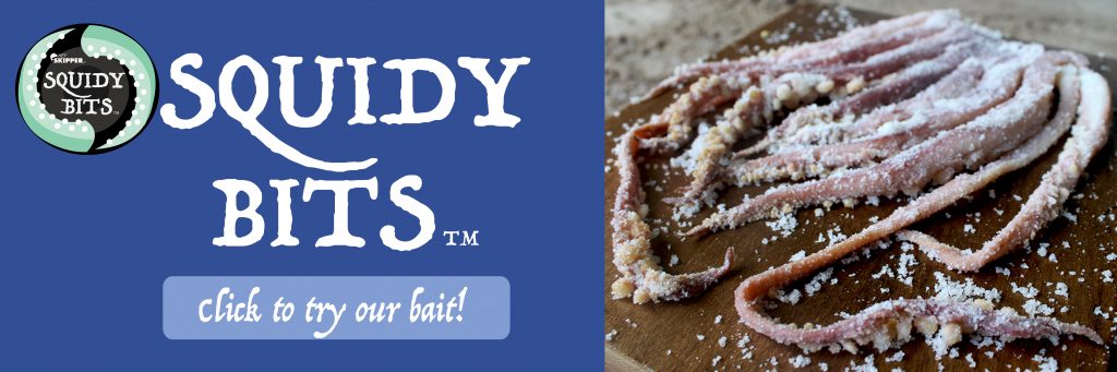 Hey Skipper Squidy Bits Try our bait Banner