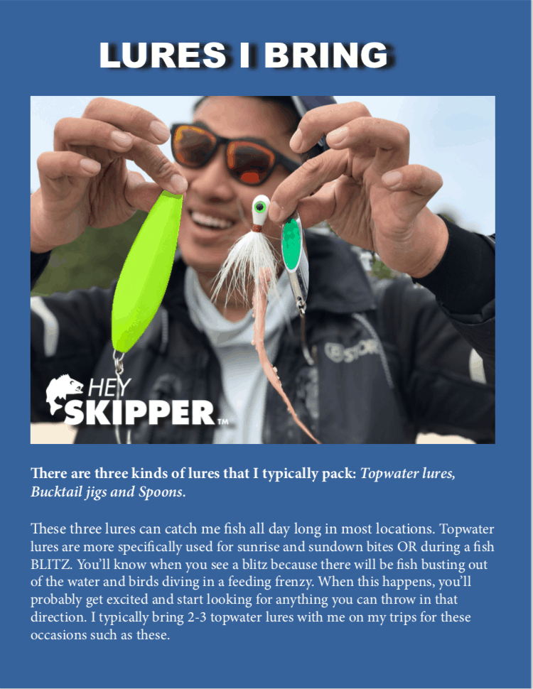 Surf Fishing Gear Guide- BEST Rods, Reels, Tackle and Accessories for  beginner/ intermediate anglers + PRINTABLE PACKING LIST - Hey Skipper