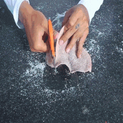 Squidy Bits Jumbo Squid Slab