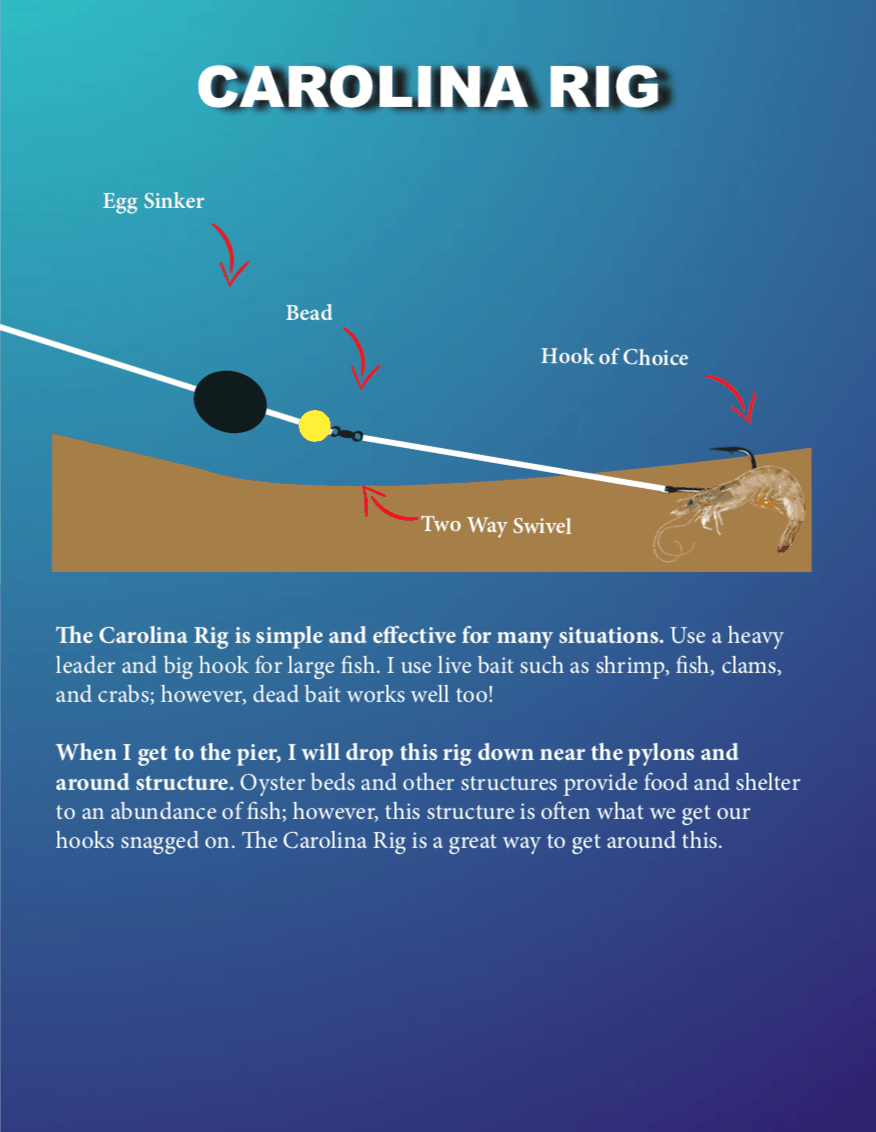 Pier Fishing Rigs and Tactics: 4 Proven Methods to Catch MORE Fish!