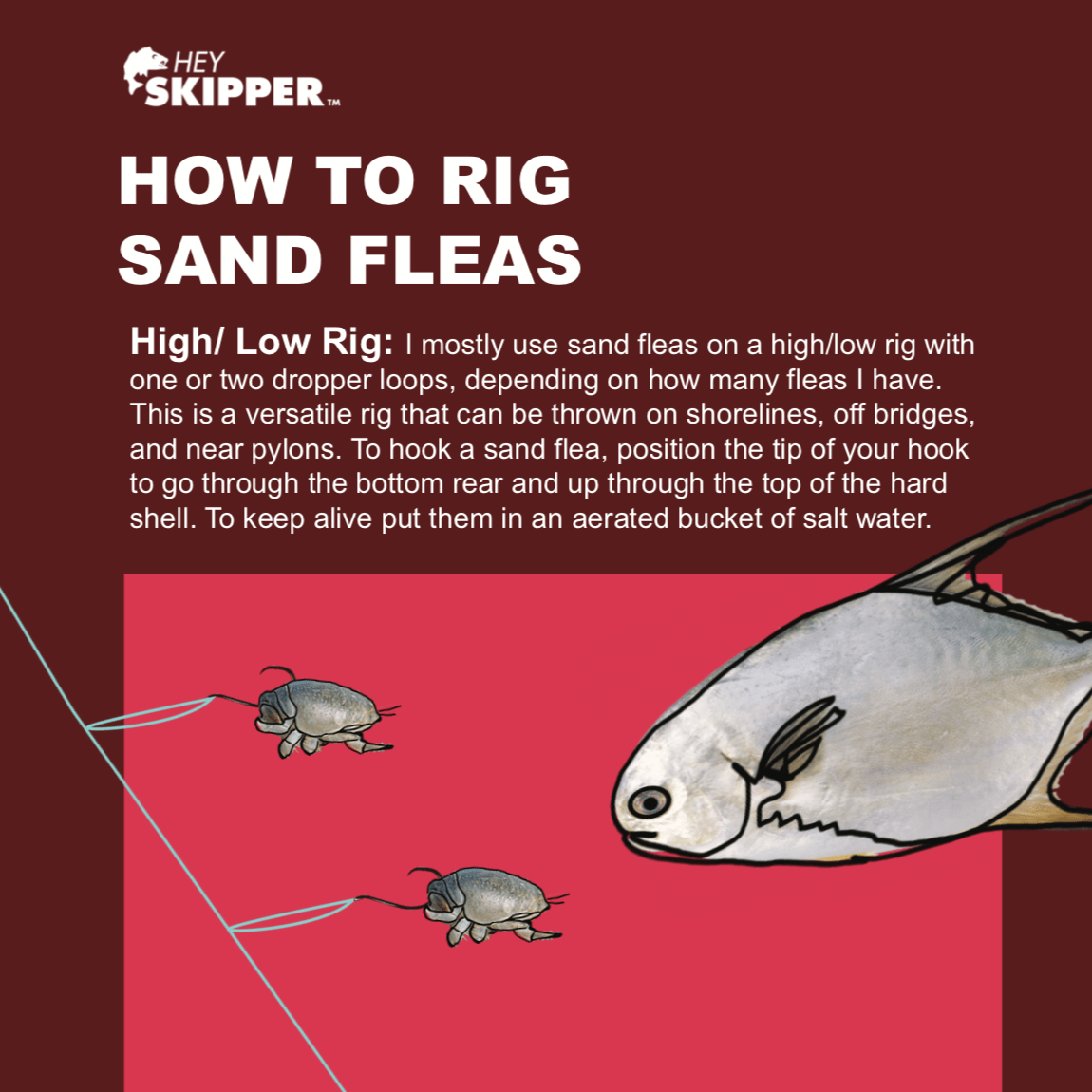 Sand discount fleas bait