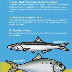 Saltwater anglers guide to fishing with bait