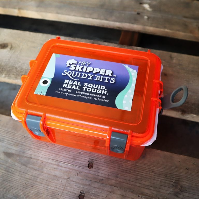 ALL IN ONE Bait Box Waterproof Bait Box, Squid, Clam, Shrimp Salted