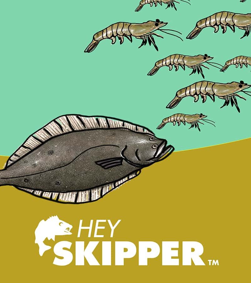 Flounder Mobile Wallpaper