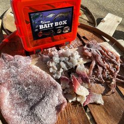 ALL IN ONE Bait Box