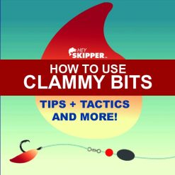 How to use Clammy Bits