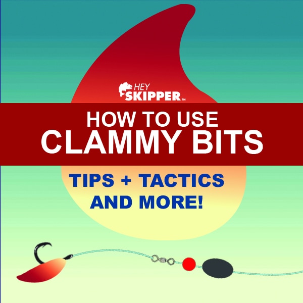 How to use Clammy Bits