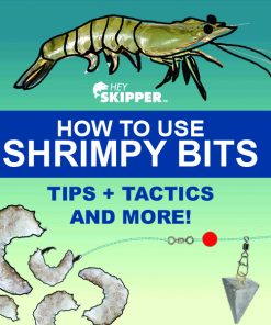 How To Use Shrimpy Bits