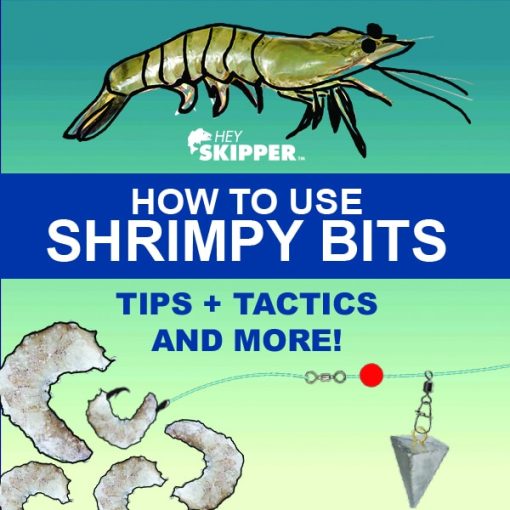 How To Use Shrimpy Bits