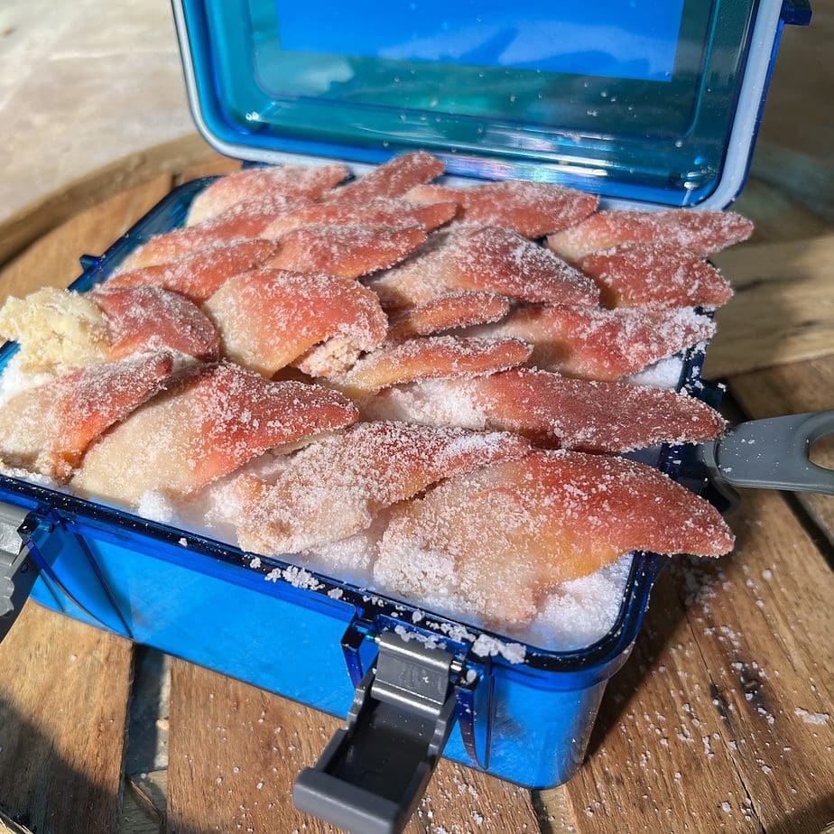 ALL IN ONE Bait Box- Waterproof Bait Box, Squid, Clam, Shrimp Salted  Fishing Bait By Hey Skipper Hey Skipper, Skippers Seafood