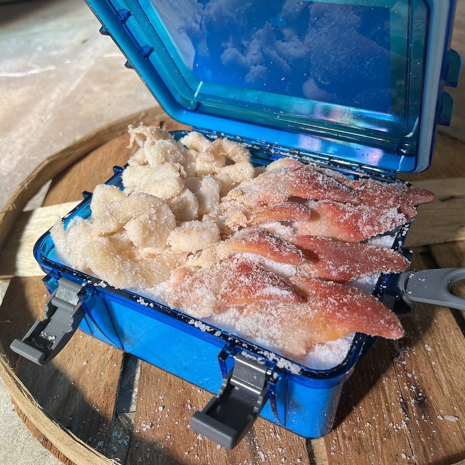 Beach Fishing Box Shrimp + Clam Combo Box- 4 Packs Salted Fishing Bait +  Waterproof Bait Box – Hey Skipper