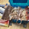 All in one Bait box