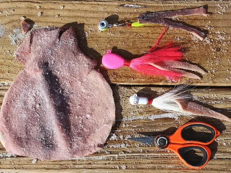 Squidy Bits Slab- Salted Squid Mantle- Fishing Bait by Hey Skipper - Hey  Skipper