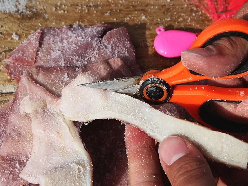 Squidy Bits Tentacles - Salted Squid - Fishing Bait Jig it or Bait
