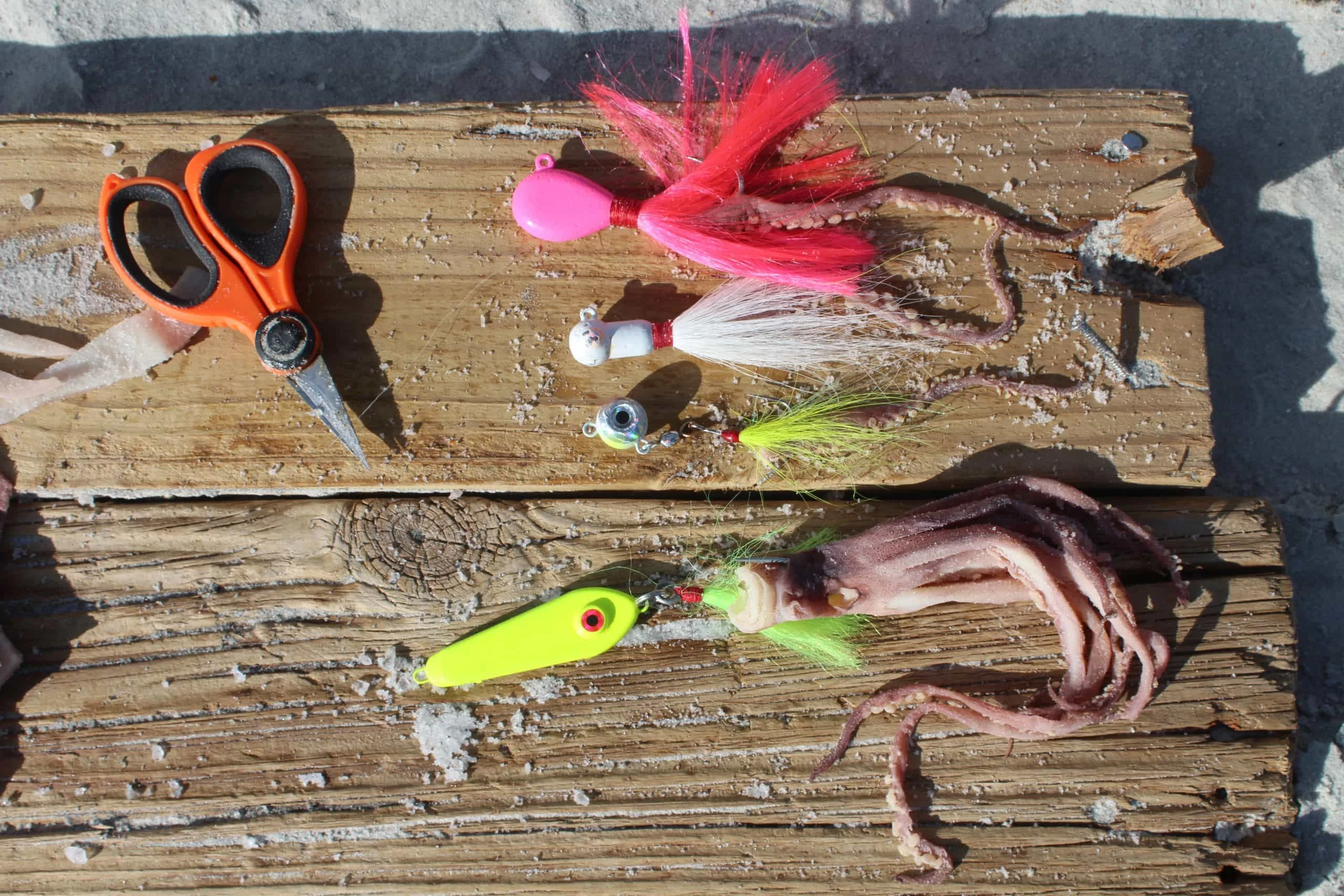 Squidy Bits Tentacles - Salted Squid - Fishing Bait Jig it or Bait it! -  Hey Skipper