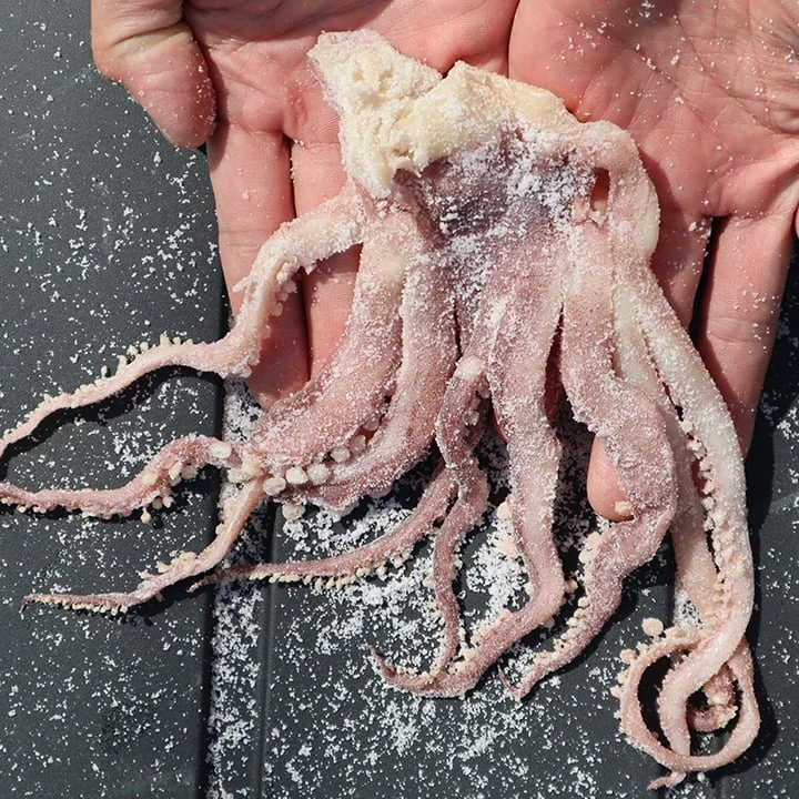 Squidy Bits Tentacles - Salted Squid - Fishing Bait Jig it or Bait